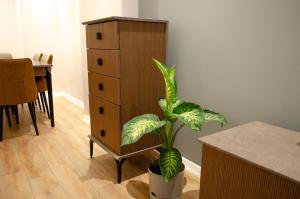 My Glamorous Stay at Kadikoy Istanbul Türkiye