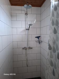 De Stormmeeuw