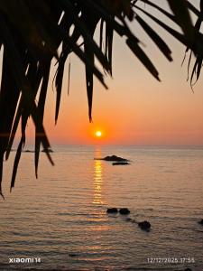 Colomb Beach Cottages