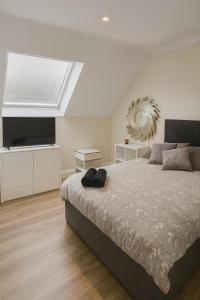 3 Bed Apartment Temple Bar, Dublin City Center