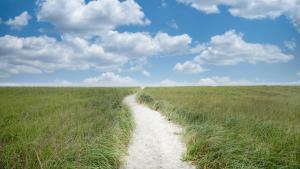 Coastal Escape by Bayley Vacation Rentals