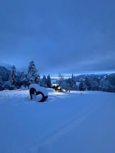 Appartamenti al Parco