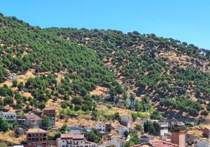 Chalet antiguo reformado