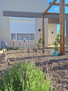 COMPLEJO PATAGONIA AZUL