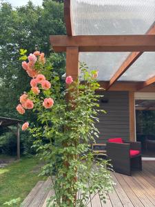 Behagliches Cottage am See