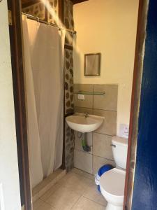 Green Forest Uvita River