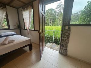 Green Forest Uvita River