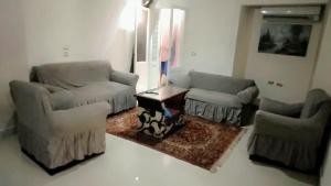 ميامي جلوبال