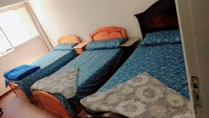 ميامي جلوبال