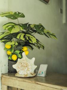 Siargao Hannah Homestay