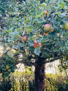 Holiday Home T Wildenburgs Klaverhuys