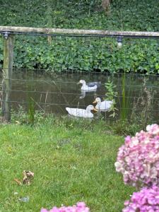 Holiday Home T Wildenburgs Klaverhuys