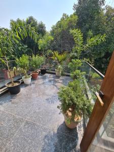 The Agra Lux- Elite Villa