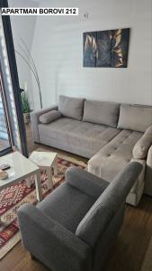 Apartmani Borovi Divčibare