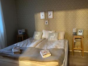 Villa Joulutähti, a Christmas family home for 9