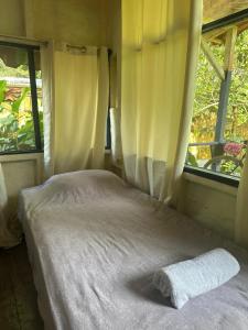 Green Forest Uvita River