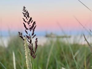 Ferienwohnung Ocean House