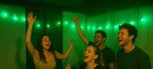 Veena Vihar Homestay