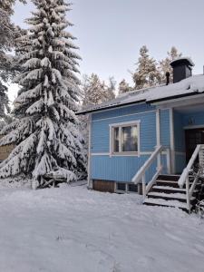 Traditional Finnish Lapland house at wild forest backyard!