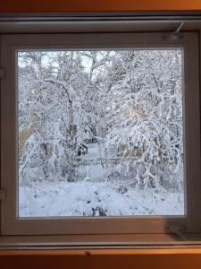 Traditional Finnish Lapland house at wild forest backyard!
