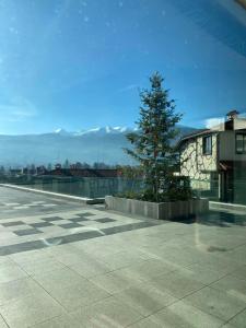 Mountainview Apartment Ski, Spa & Thermal