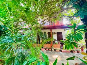 Hotel Oleena