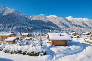 Alpine Flégère View Apartment - Happy Rentals