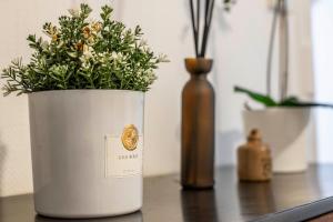 Central Paris Studio - 10 min to Notre-Dame