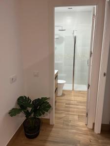 Apartamento Deluxe Cantillana