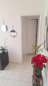 2-bedroom apartment in Copacabana