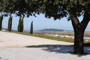 Masseria Torre Di Nebbia