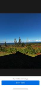 Ocean View Villas B09