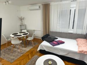 Cozy one in Belgrade centre