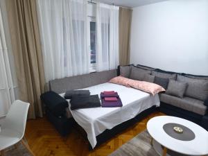 Cozy one in Belgrade centre