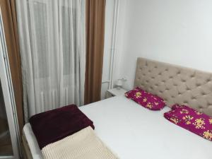 Cozy one in Belgrade centre