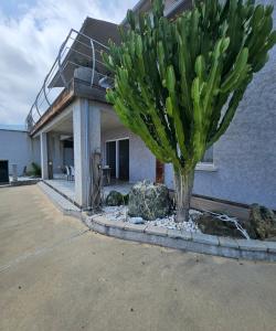 Paradiso Apartment 4 people