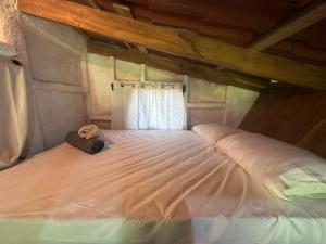 Green Forest Uvita River