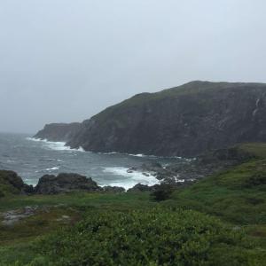 Wildberry North