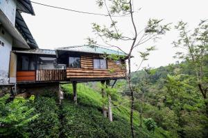 Cliff Inn Mountain Resort