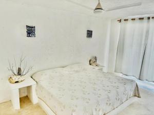 Casa Amor Pto Morelos