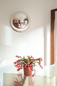 Luminoso, céntrico y silencioso