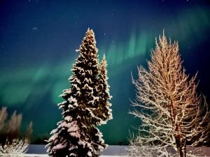 Playful Villa for Friends and Families