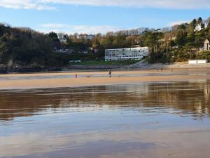 2 Bed in Caswell Bay oc-hh913