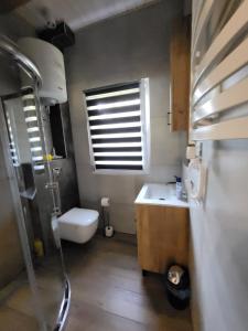 Domek nad jeziorem Wilczyńskim