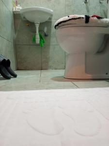 Cute Studio Roysambu TRM