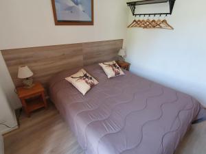 Chalet Mitoyen 3 Pièces, 7 Pers, Terrasse, Parking Gratuit, Animaux Acceptés - FR-1-863-6