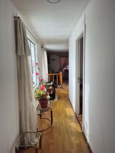 Tu hogar en la Patagonia