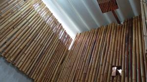 La Magia del Atardecer - Campesina