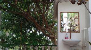 La Magia del Atardecer - Campesina