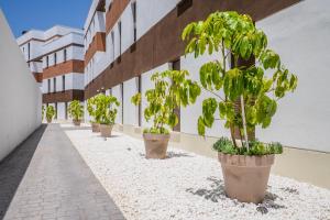 Modern apartment with sea view and terrace